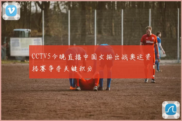 CCTV5今晚直播中国女排出战奥运资格赛争夺关键积分
