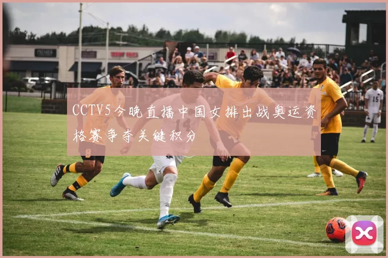 CCTV5今晚直播中国女排出战奥运资格赛争夺关键积分