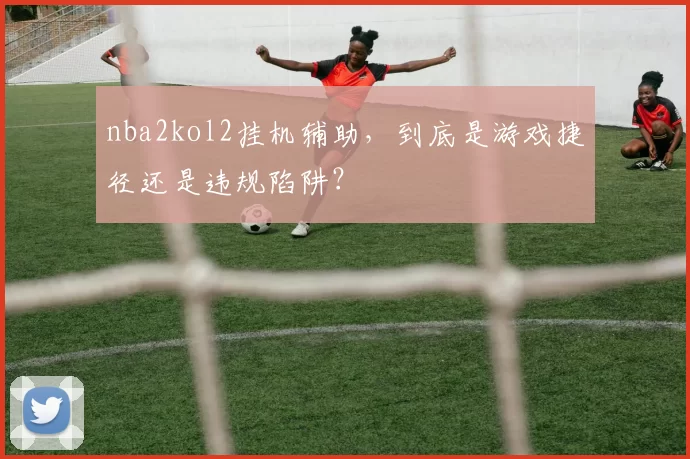 nba2kol2挂机辅助，到底是游戏捷径还是违规陷阱？