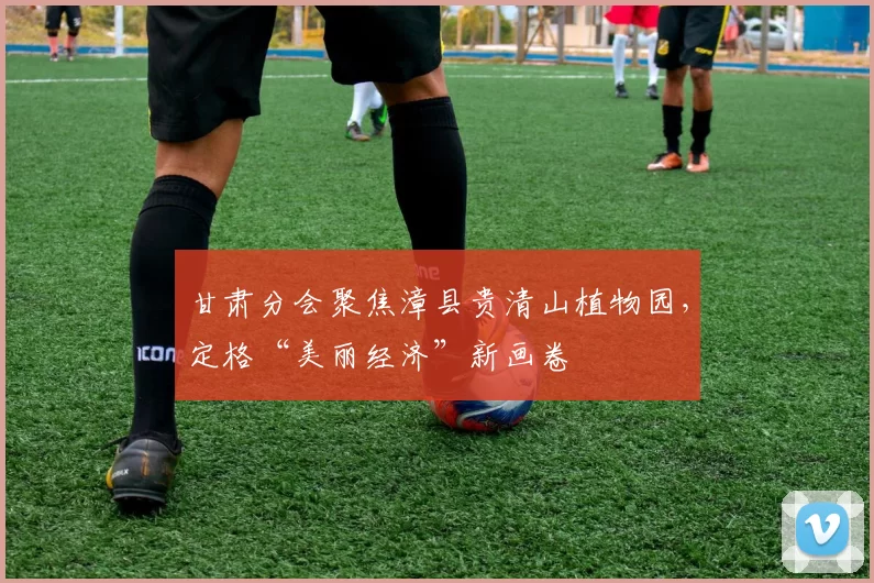 甘肃分会聚焦漳县贵清山植物园，定格“美丽经济”新画卷