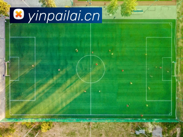 多媒体互动体验